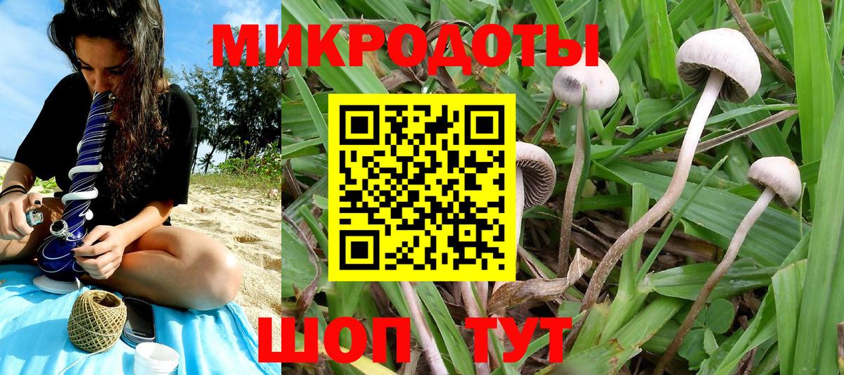 Дивногорск  Галлюциногенные грибы мицелий  даркнет сайт  Вход с VPN 